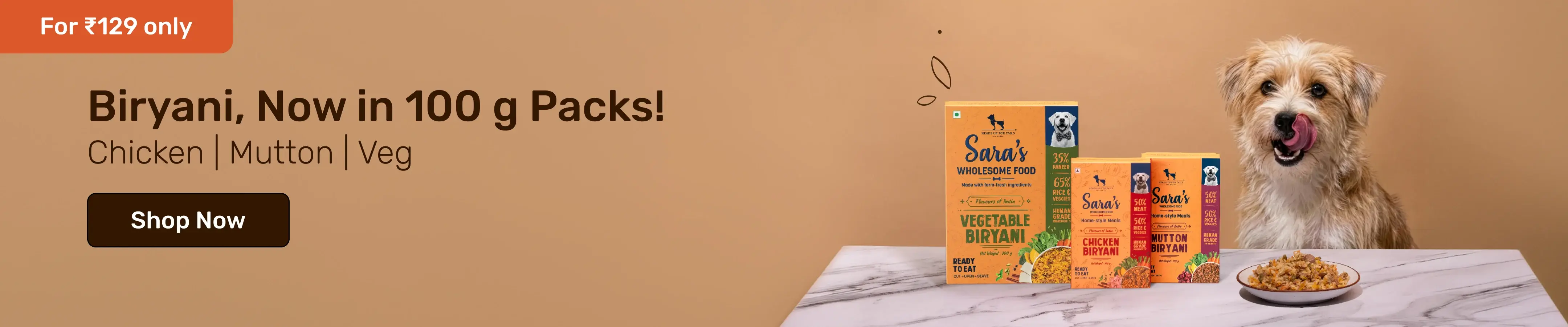 शानदार पेट फैशन और एक्सेसरीज